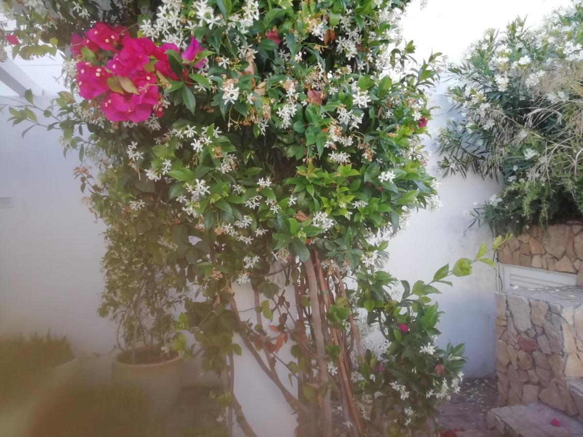 Casa Do Jardim Apartment Beja Ngoại thất bức ảnh